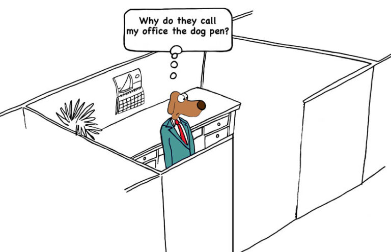 dog standing in a cubicle